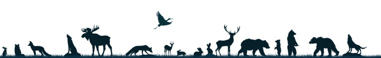 Silhouettes of forest animals. Vector illustration