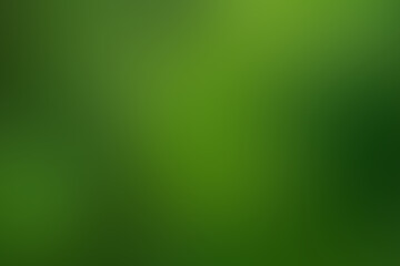 Abstract green and blue blurred gradient background with light. Nature backdrop. Ecology concept for your graphic design, banner poster