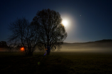 Fototapeta na wymiar Mystische Mondscheinnacht mit Nebel 4