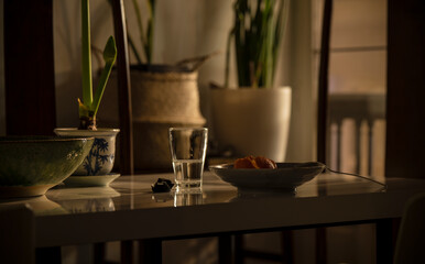 Unwashed plate and glass on table with houseplants in dining room at night