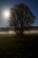 Obraz na płótnie Canvas Mystische Mondscheinnacht mit Nebel 3