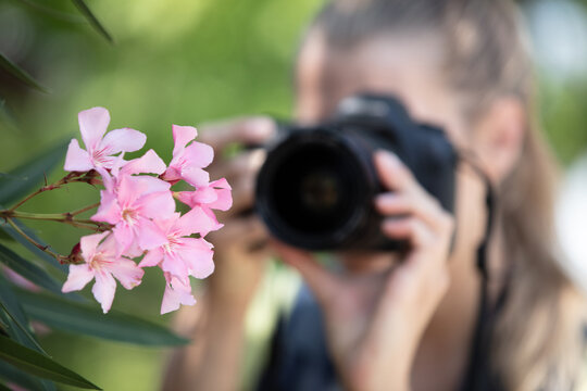 photographer woman using dslr camerato take photo of flower