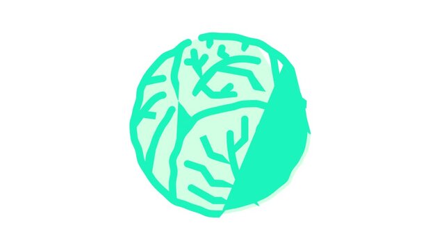 cabbage one whole color icon animation
