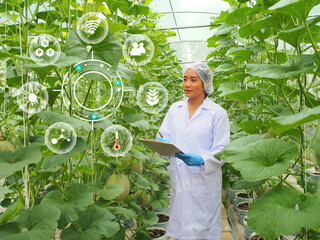 Smart farmer concept. Female researcher working in greenhouse farm.