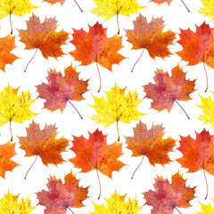 Naklejka na ściany i meble Seamless pattern of hand-drawn watercolour maple leaves on a white background. Autumn Illustration for fabric, sketchbook, wallpaper, wrapping paper.