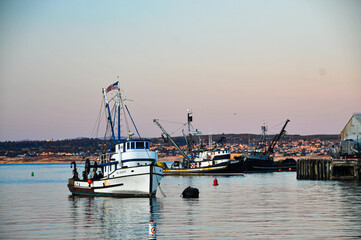Boats in Port