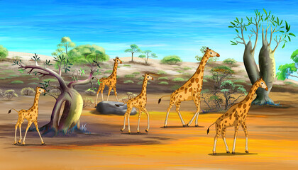 Herd of giraffes in the Savannah illustration