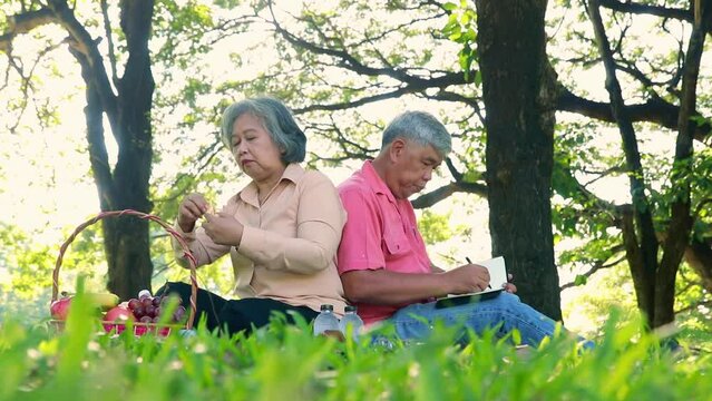Retirement life : Elderly couple is happy and happy sitting in the garden under shady trees doing recreational activities, eating fruit and drawing pictures of nature.