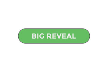 Big reveal button web banner template Vector Illustration
