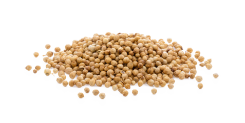 Coriander seeds isolated on transparent png