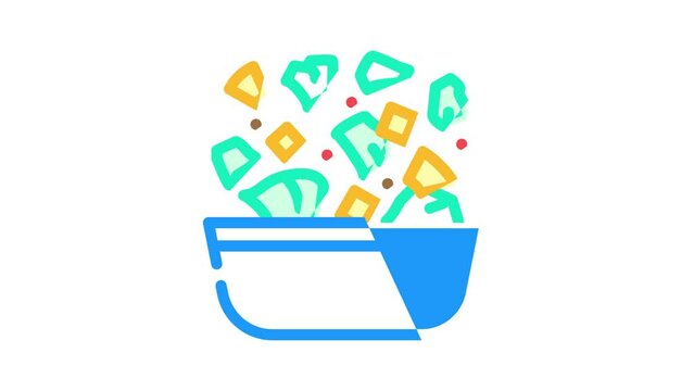 slices pineapple salad color icon animation