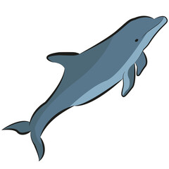 Dolphin on a white background. Isolated vector illustration