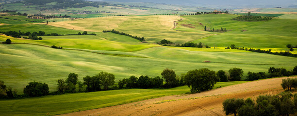 Fototapeta na wymiar the beautiful and stunning landscape of the Tuscany valleys and hill with its meadows, trees and fields 