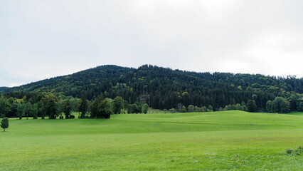 Fototapeta na wymiar Gmund am Tegernsee. Wald und Grüne hügel- und wiesenlandschaft am Nordufer des Sees, Richtung Schliersee