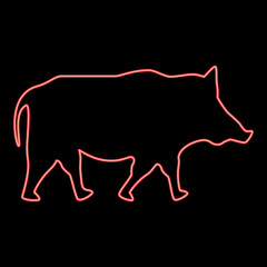 Neon wild boar Wild pig Hog Warthog red color vector illustration image flat style