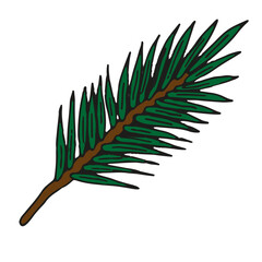 A spruce branch hand-drawn on a white background. An element for Christmas cards and decorations. Vector illustration