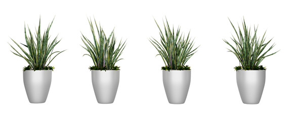 Set of decorative plants for flyer catalogs, triptychs, etc.