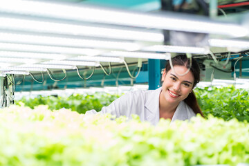 Young woman scientist analyzes and studies research in organic, hydroponic vegetables plots growing...