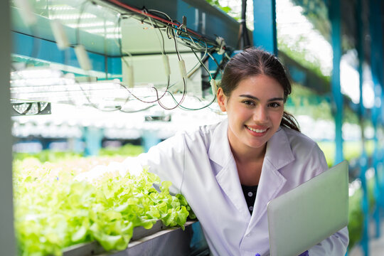 Young Woman Scientist Holding Laptop Computer Analyzes And Studies Research In Organic, Hydroponic Vegetables Plots Growing On Indoor Vertical Farm