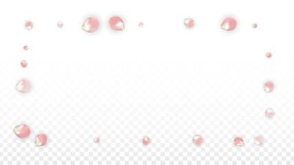Pink Vector Realistic Petals Falling on Transparent Background.  Spring Romantic Flowers Illustration. Flying Petals. Sakura Spa Design. Blossom Confetti. Design Elements for Wedding Decoration.