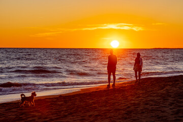 a couple with a dog during an evening walk on the beach