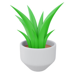 aloe vera plant pot 3d render icon with transparent background