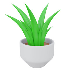 aloe vera plant pot 3d render icon with transparent background