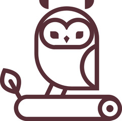 Owl bird