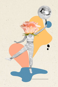 Vertical Collage Picture Of Black White Gamma Girl Jumping Rose Flower Instead Head Hand Hold Disco Ball Isolated On Drawing Background