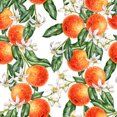 seamless pattern with watercolor drawing orange tree branches with green leaves, flowers and fruits at white background, hand drawn illustration