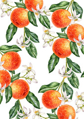 background with watercolor drawing orange tree branches with green leaves, flowers and fruits, hand drawn illustration