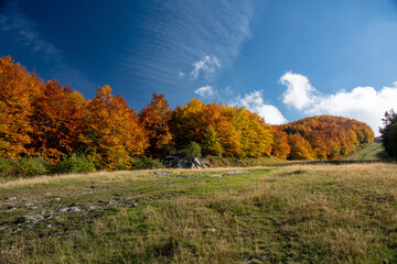 Panorama autunnale montano