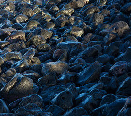Große schwarze Lavasteine  am Strand von Praia de Santa Barbara,Ribeira Grande,Insel Sao Miguel, Azoren, Portugal,