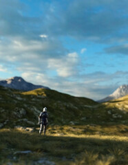 Fototapeta na wymiar Historic knight stands between tall grass in sunny highlands with a cloudy sky. 3D render.