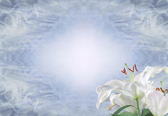 Silvery blue Lily Funeral Wake order of service invitation background banner concept - lily heads in bottom right corner against wispy pale blue diamond shaped background with space for message
- 553695184