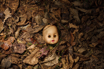 Creepy doll head without hair, face with no eyes lying in autumn forest among dry leaves. Spooky...