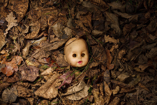 Creepy doll head without hair, face with no eyes lying in autumn forest among dry leaves. Spooky Halloween background
