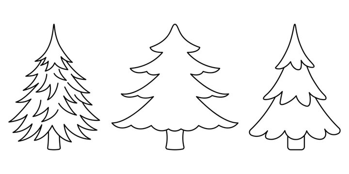 Three firs. Sketch. A set of lush firs with prickly coniferous needles.  Collection of vector illustrations. Doodle style. Coloring book. Coniferous plant. Outline on isolated background. 