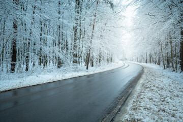 Wet asphalt road in winter snowy forest