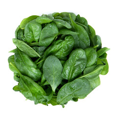 Baby spinach, Isolated on White Background – Close-Up Macro, Top View, Macro Close Up