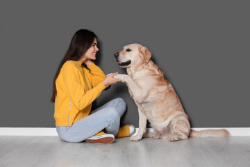 Cute Labrador Retriever giving paw to happy woman against grey wall