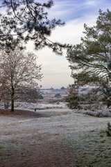 Winter in Gelderland 2022