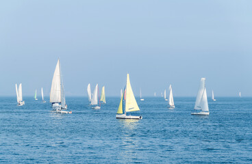 Obraz premium Group of sailboats in the sea