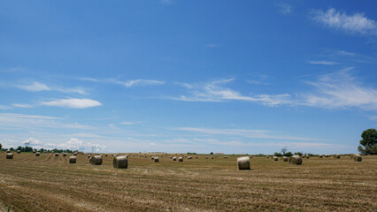 Fototapeta na wymiar hay balls fields in the countryside