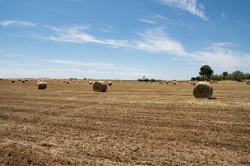 hay balls fields in the countryside