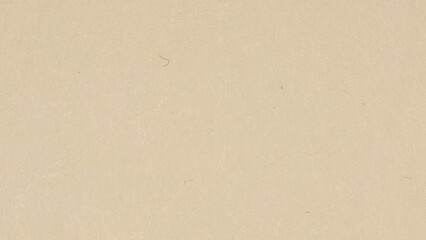 White Paper Background Texture Seamless Loop - Powered by Adobe