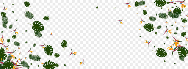 Red Philodendron Background Transparent Vector. Leaf Drawing Design. Green Strelitzia. Fashion Card. Orange Popular Frame. © Vlada Balabushka