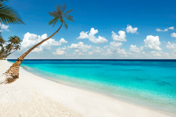 Plakat Maldives Islands Tropical