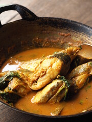 Kaeng Pa, Jungle Curry, Thai hot and spicy red curry without coconut milk with fish