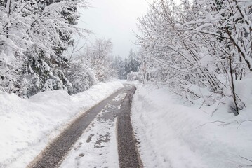 A snowy road in the winter countryside